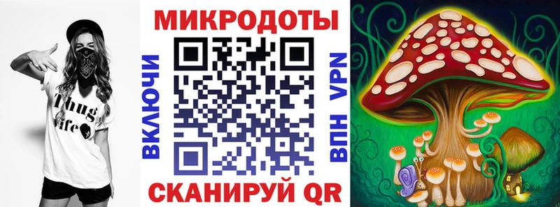 Галлюциногенные грибы Cubensis  KRAKEN ССЫЛКА  Новочебоксарск 